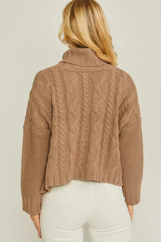 Turtle Neck Cable Knit Sweater