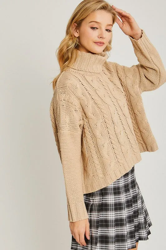 Turtle Neck Cable Knit Sweater