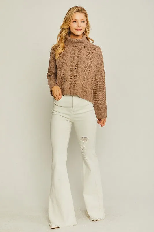 Turtle Neck Cable Knit Sweater